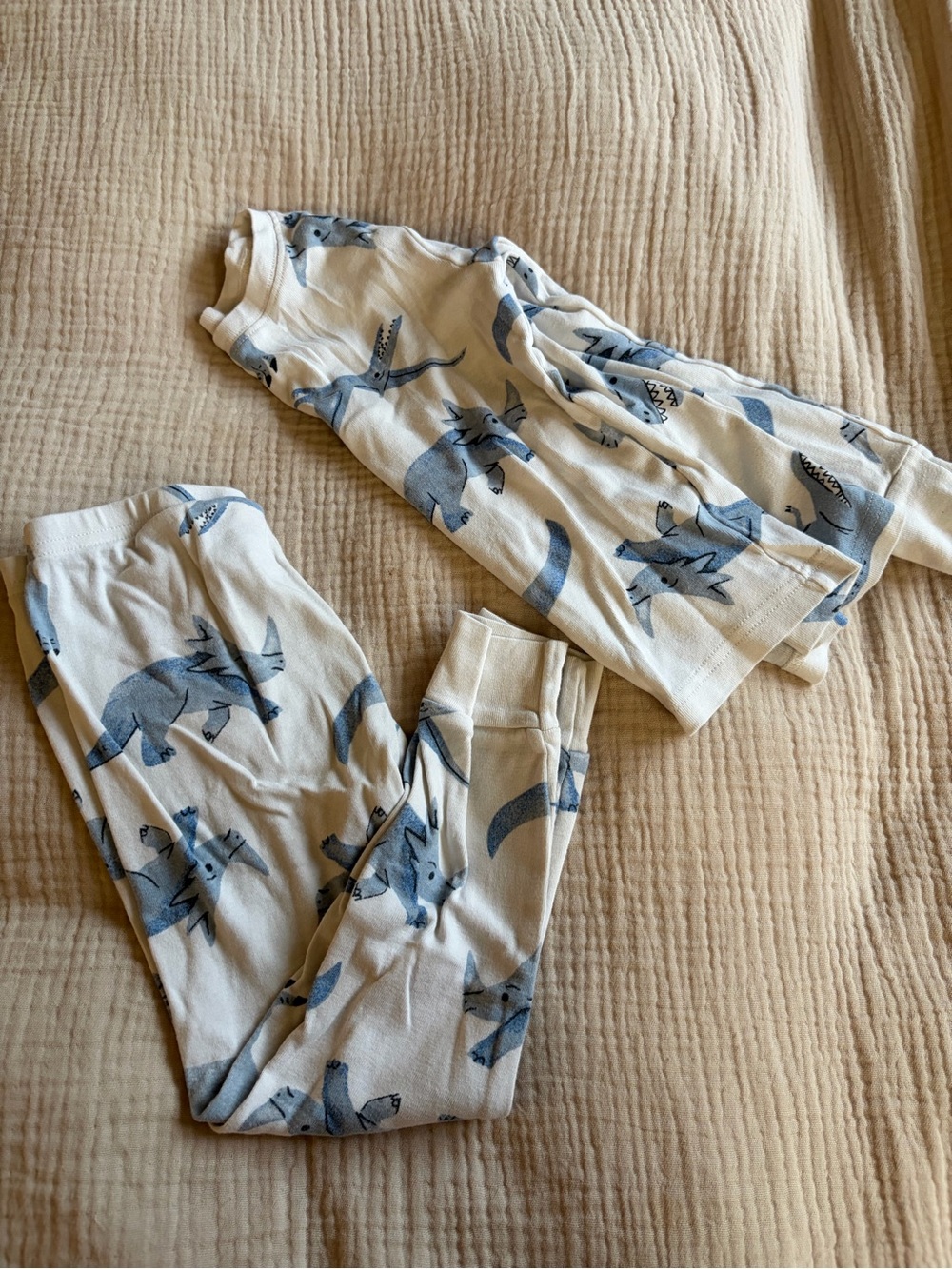 Carter's White and Blue Dino Print Pajama Set